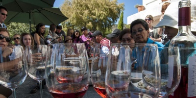 Desde el Instituto Nacional del Vino calificaron como excelente la vendimia de este 2016