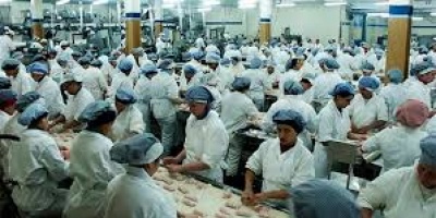 Molestia en los trabajadores por adjudicacin de Fripur a empresa extranjera