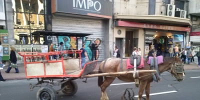 Paran los clasificadores de la planta "La Paloma"