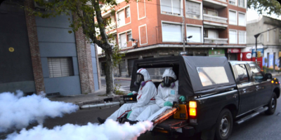 Fumigaron en Municipio F contra el mosquito transmisor del dengue