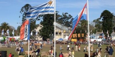 Transporte reforzado para las Criollas del Prado