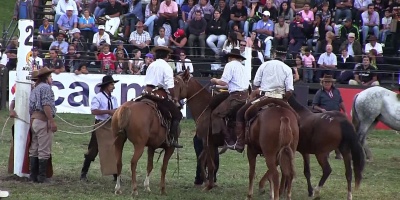 Prado: Activistas en defensa de los animales realizarn una concentracin 