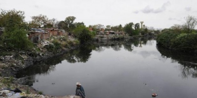 DINAMA recibir� denuncias online