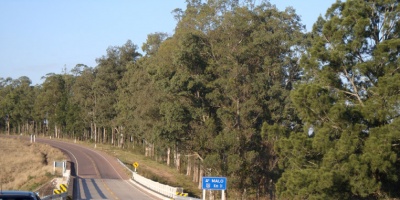 Paysand�: analizar�n declarar la ruta 26 como emergencia nacional