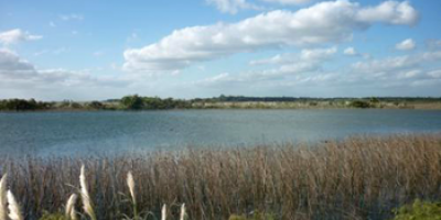 Ya hay acciones para recuperar el rio Santa Luc�a