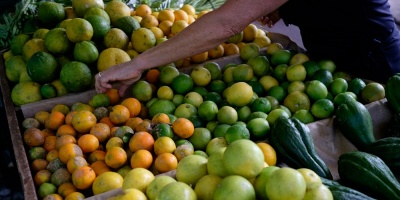 Mercado Modelo destaca buena oferta en algunas frutas y verduras