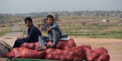 En nuestro pa�s residen 460 personas extranjeras en calidad de refugiadas
