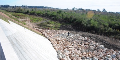 Talaron de forma ilegal monte nativo en Canelones