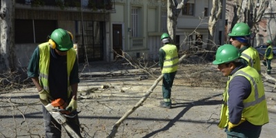 Podar�n arbolado en la capital