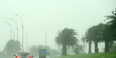 Da�os leves tras paso de cicl�n