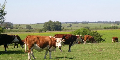 Ministros de Agricultura del Cono Sur se reunir�n en Paraguay