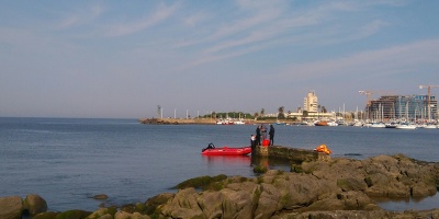 Muri� la ballena que estaba en la rambla