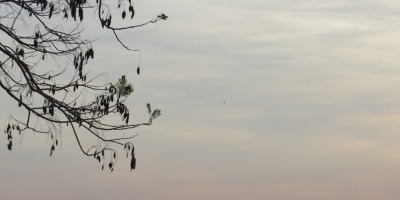 19 evacuados y cuatro rutas cortadas por lluvias y crecidas en todo el pa�s