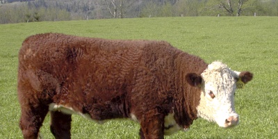 Las gremiales rurales analizan con preocupaci�n la p�rdida de competitividad agropecuaria 