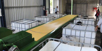 Clasificadores se movilizan por norma de exclusi�n