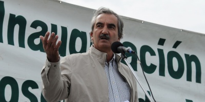 Expectativa en el sector del arroz