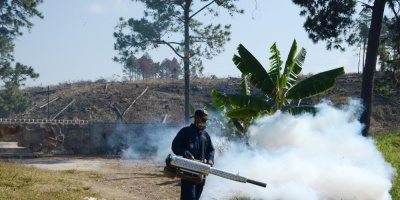 Advierten que el mosquito transmisor del dengue amenaza el 62% de Montevideo
