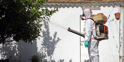 Advierten por casos de enfermedades transmitidas por el Aedes Aegypti.