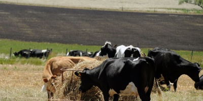 Acuerdo con China en materia agropecuaria