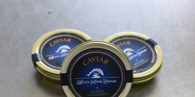 El caviar uruguayo se abre paso en el mundo del lujo gastron�mico