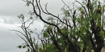 Destrozos por fuertes vientos en Montevideo