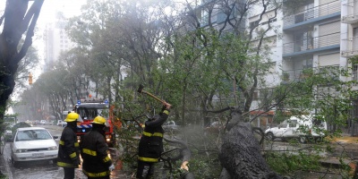 �rboles ca�dos  y evacuados en Canelones 