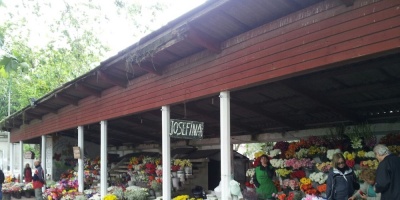 Escasa concurrencia a cementerios acentuada por mal tiempo