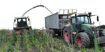 La soja y el ma�z suben en Chicago y el trigo cae