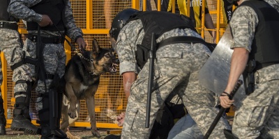 Fiscal pidi� el procesamiento de cuatro �barra brava� de Pe�arol