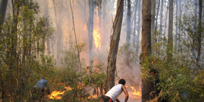 Rige prohibici�n de realizar fuegos al aire libre 