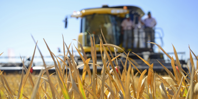 Concretan comercializaci�n de zafra de arroz 