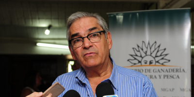 R�cord en exportaciones de ganado