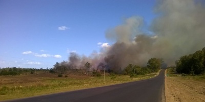 Bomberos combati� voraz incendio en monte cerca de Melo 