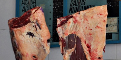 La faena vacuna marc� un r�cord de 55 mil cabezas