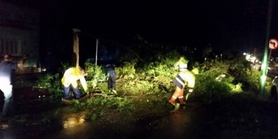 Un centenar de llamados por los fuertes vientos en Maldonado