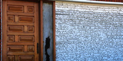 San Carlos recupera el servicio el�ctrico