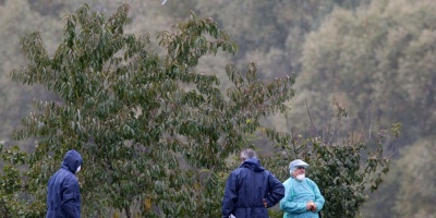 Primer deceso del invierno en Hong Kong por gripe aviar