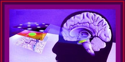 Un ins�lito museo en Per� invita a escudri�ar el cerebro humano