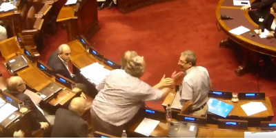 Diputados a los golpes en el Parlamento