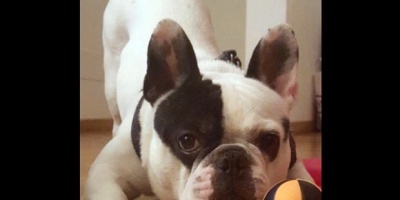 El Tata Gonz�lez y una p�rdida irreparable 