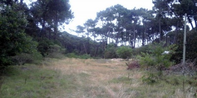 Gesti�n de riesgo ante incendios