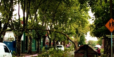 Treinta y nueve mil clientes de UTE sin luz por el temporal