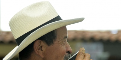 Colombia: producci�n de caf� aumenta levemente en 2016