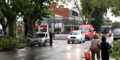 El 911 recibi� m�s de mil llamadas tras temporal 