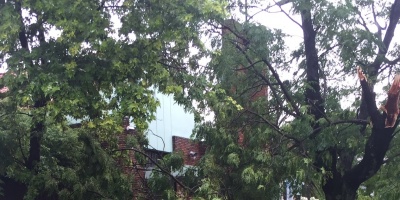 17 personas heridas en Montevideo y Costa de Oro tras temporal