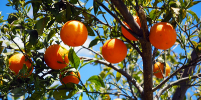 Hasta el domingo se pueden actualizar datos