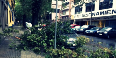 Privados y municipales trabajan para recomponer los da�os