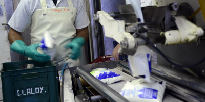 Se exportar�an 2.056 toneladas de l�cteos a Colombia 