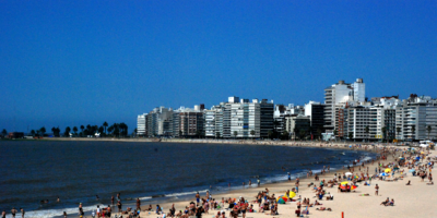 Comienza la fiscalizaci�n de perros en playas