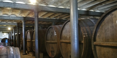 Aumento de 40% en exportaciones de los vinos uruguayos